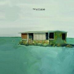 Vinyl Record Stevens - Alone (LP)