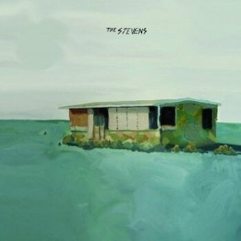 Vinyl Record Stevens - Alone (LP) - 1
