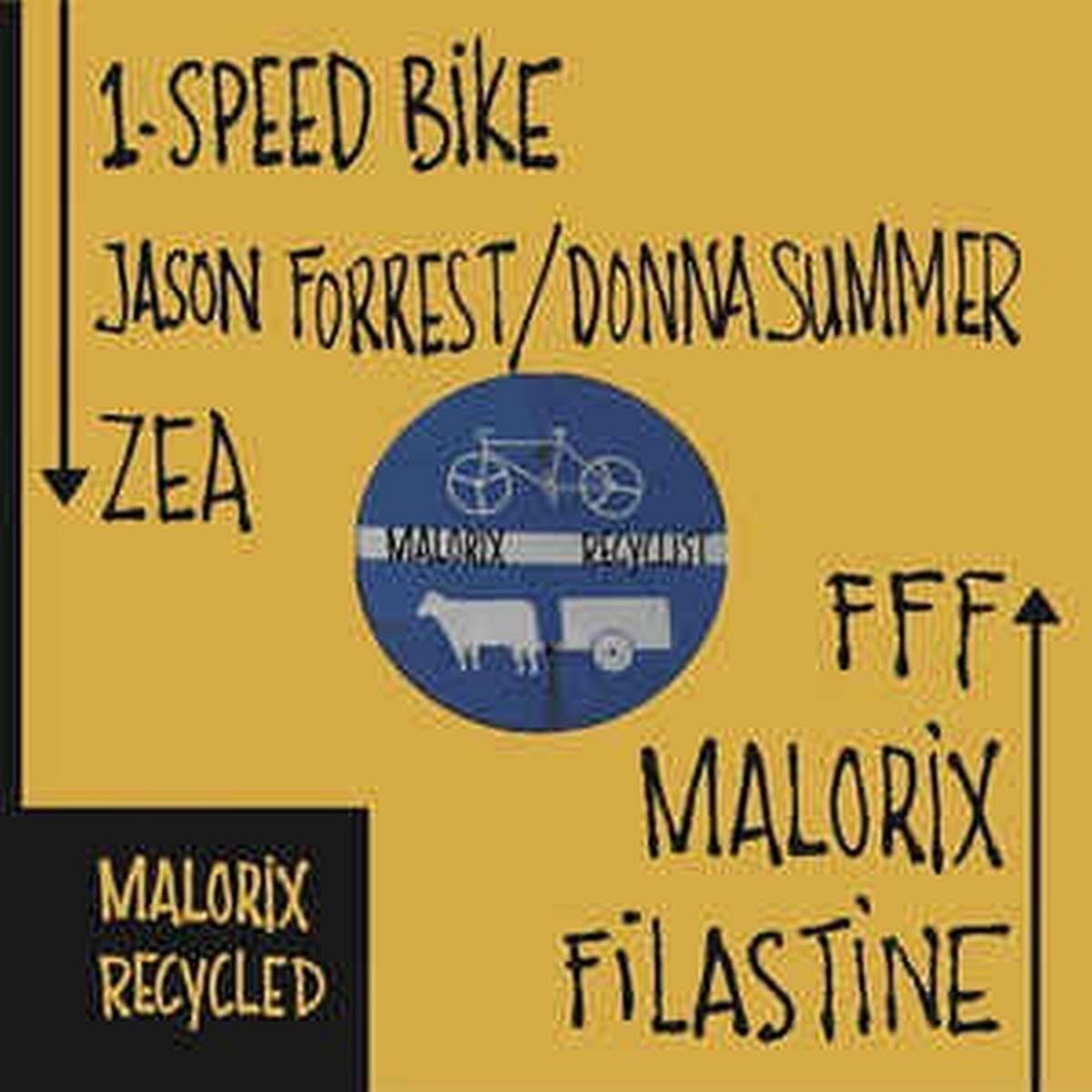 Vinyl Record Malorix - Recyclist (LP)