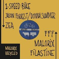 Vinyl Record Malorix - Recyclist (LP)