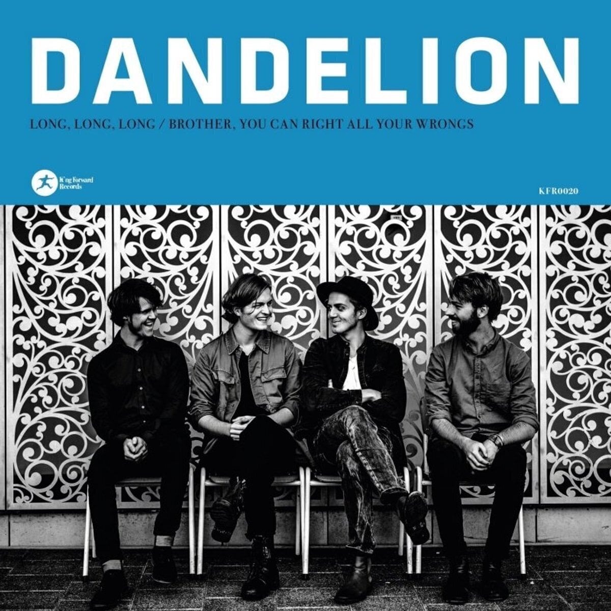 Vinyl Record Dandelion - Long, Long, Long (LP)