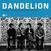 Vinyl Record Dandelion - Long, Long, Long (LP)