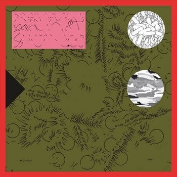 Schallplatte Broshuda - Jemi (Limited Edition) (LP) - 1