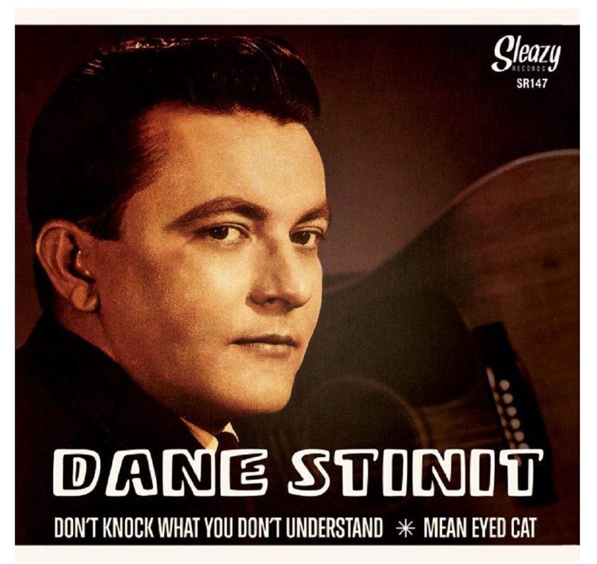 LP Dane Stinit - Don't Know What You Don't Understand (LP)