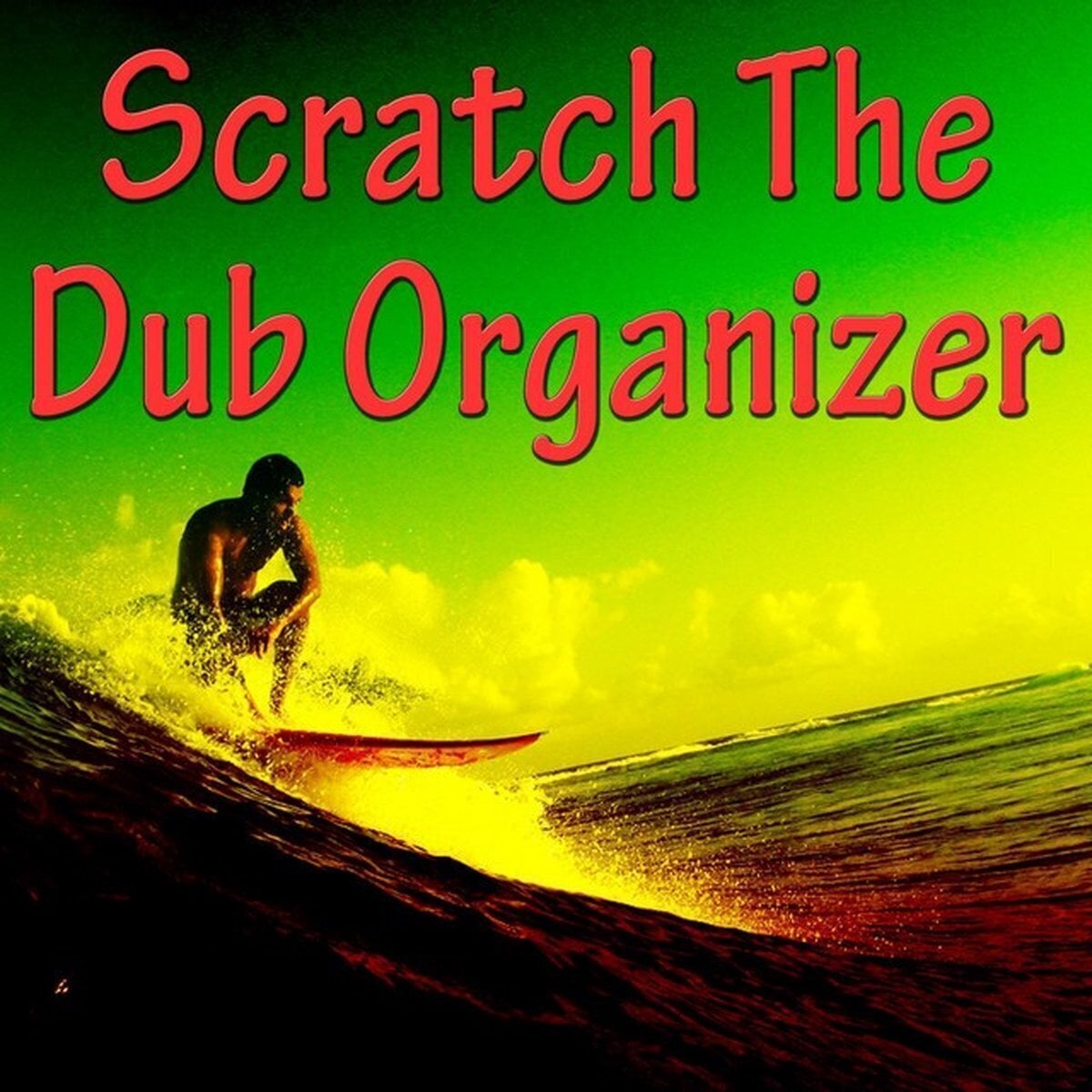 Vinyl Record Scratch & Company & Company - Scratch The Dub Organizer (10") (LP)