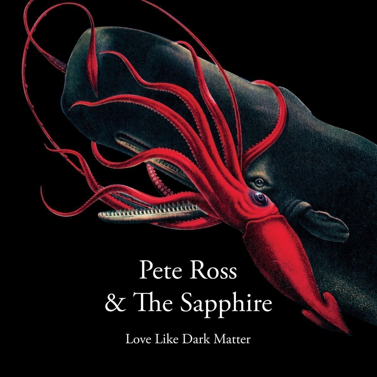Disque vinyle Pete Ross - Long Live Dark Matter/Worthy Of Love (LP)