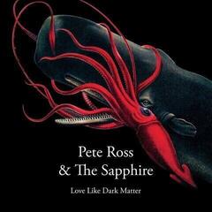 Disque vinyle Pete Ross - Long Live Dark Matter/Worthy Of Love (LP)