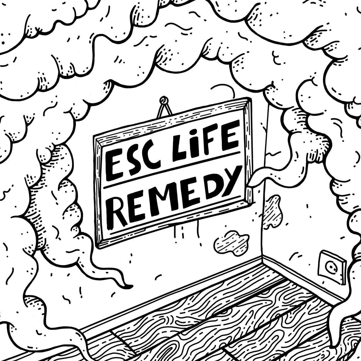 Schallplatte ESC Life & Remedy - split (LP)