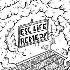 Schallplatte ESC Life & Remedy - split (LP)