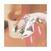 Vinyl Record Mermaids & Mermaidens - You Maintain The Stain (LP)