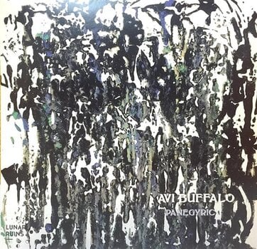 Vinyl Record Haunted Summer - Split (LP) - 1