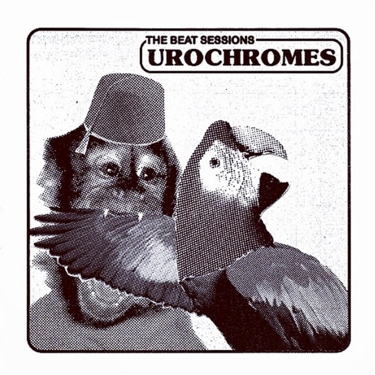 Schallplatte Urochromes - The Beat Sessions (LP)
