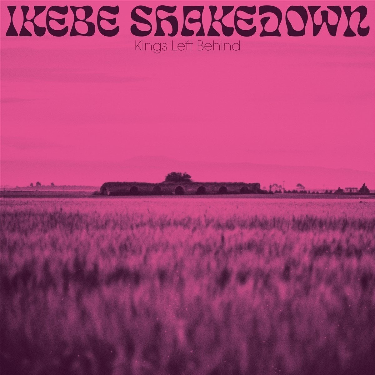 Schallplatte Ikebe Shakedown - Kings Left Behind (Limited Edition) (Reissue) (LP)