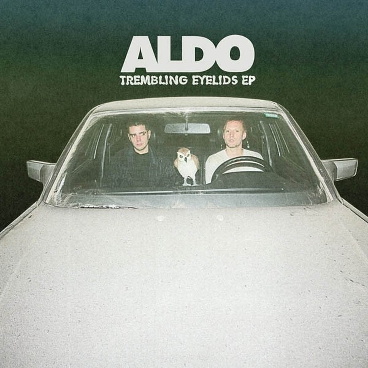 Schallplatte Aldo The Band - Trembling Eyelids EP (LP)