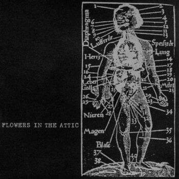 Disco de vinil Flowers In The Attic - Human (LP) - 1