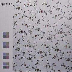 Disco in vinile Spatzer - Derive (LP)