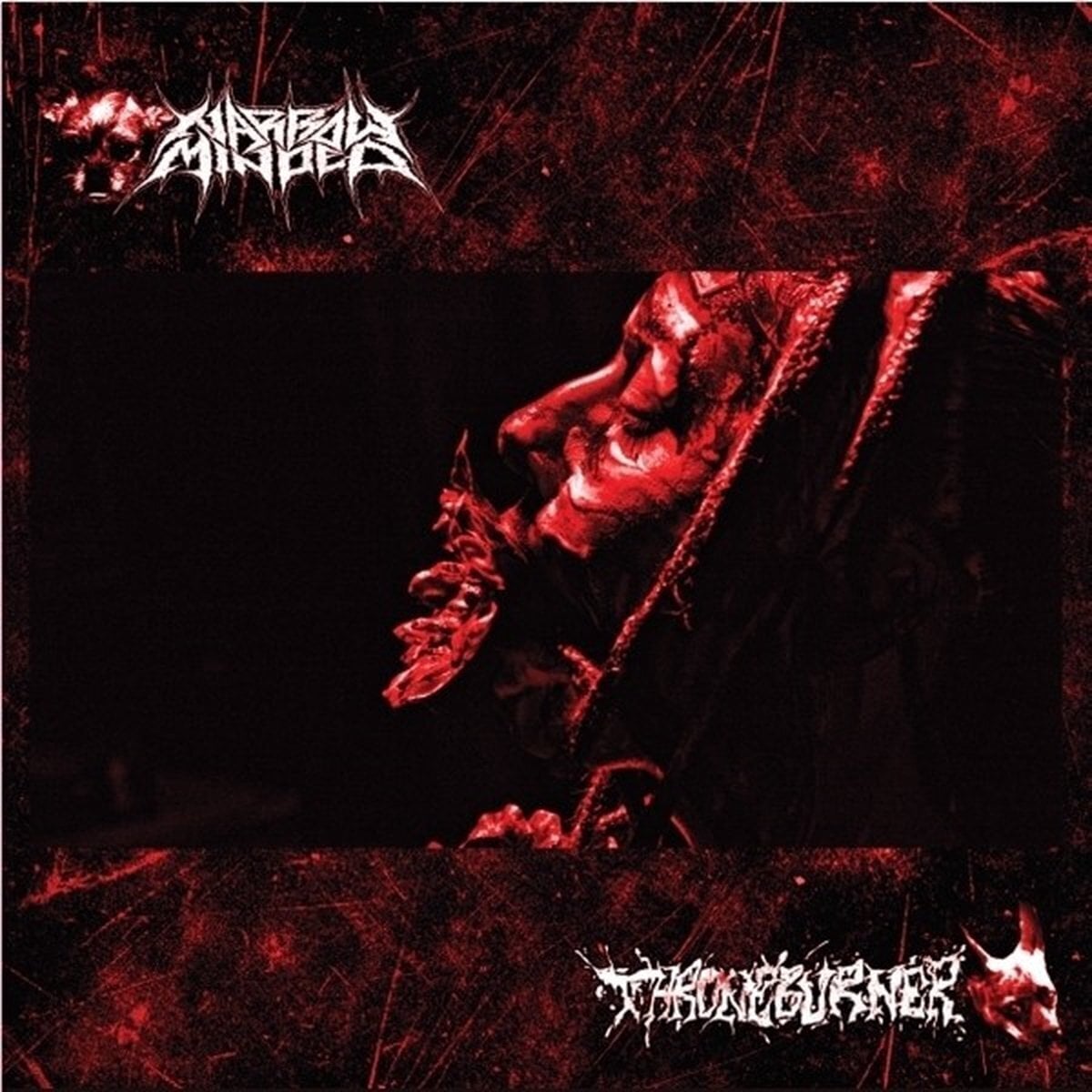 Schallplatte Narrow Minded X Throneburner - Split (LP)