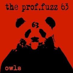 LP The Prof. Fuzz 63 - Owls (LP)