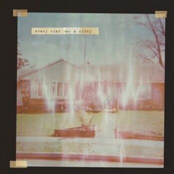 Schallplatte Every Scar Has A Story - Every Scar Has A Story (Limited Edition) (LP) - 1
