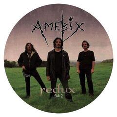 Schallplatte Amebix - Redux (LP)