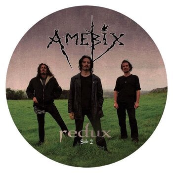 Schallplatte Amebix - Redux (LP) - 1