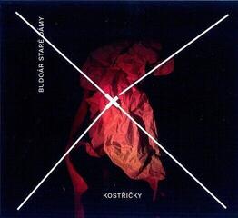 Disque vinyle Budoar Stare Damy - Kostricky (LP)