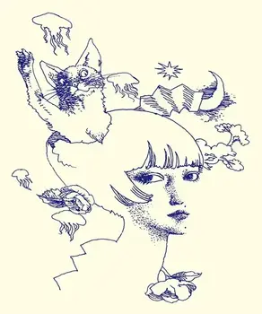 Vinüülplaat Sheena Ringo - Kinjite (2 LP) - 1