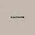 Vinyl Record Disintegration - Time Moves For Me (LP)