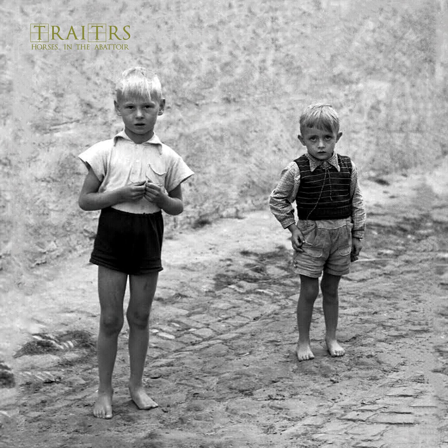 Vinyl Record TRAITRS - Horses In The Abbatoir (Limited Edition) (LP)