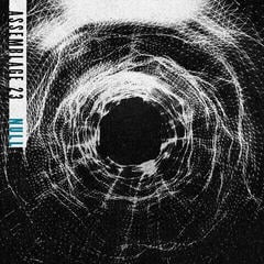 Vinyl Record Assemblage 23 - Null (LP)
