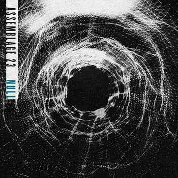 Vinyl Record Assemblage 23 - Null (LP) - 1