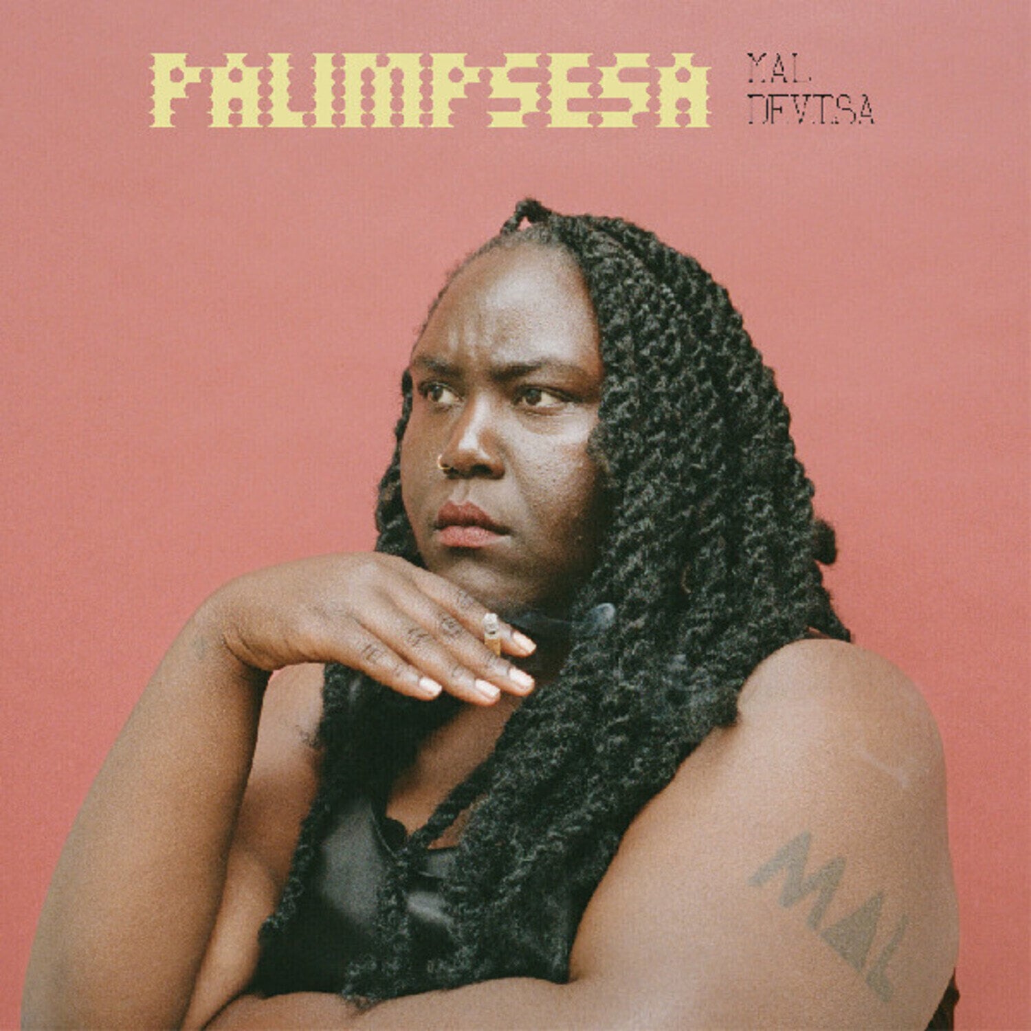 Vinyl Record Mal Devisa - Palimpsesa (2 LP)