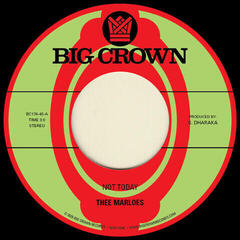 Vinyl Record Thee Marloes - Not Today (7")