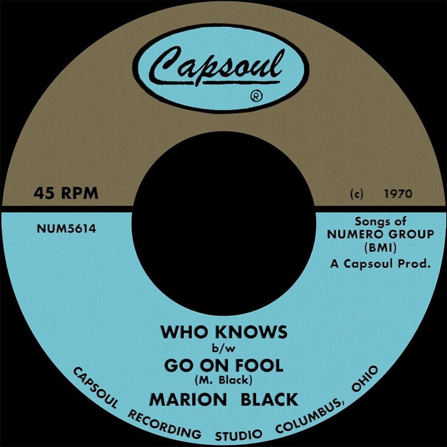 Vinyl Record Marion Black - Go On Fool (Reissue) (Sky Blue Coloured) (7")