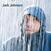 Vinyl Record Jack Johnson - Brushfire Fairytales (20th Anniversary) (Reissue) (180 g) (LP)
