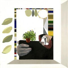 Disc de vinil Turnover - Magnolia (LP)
