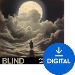 Sample/Sound Library Audiofier Blent 6 Plus - CinemaDrums (Digital product)