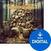 Soundlibraries für Sampler Audiofier OMNIBEATS EarthBEAT (Digitales Produkt)
