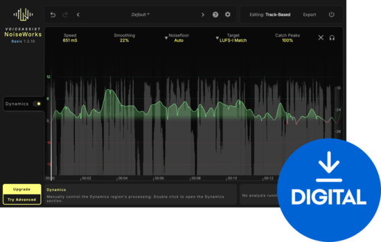 Plug-Ins Software e Processori Effetti NoiseWorks VoiceAssist Basic (Prodotto digitale) - 1
