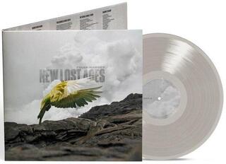 Disc de vinil Tyler Ramsey - New Lost Ages (Grey Coloured) (LP)