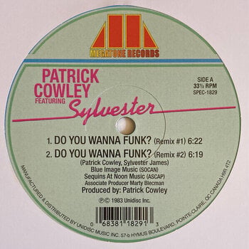 Vinüülplaat Patrick Cowley & Sylvester & Sylvester - Do You Wanna Funk? / Don’t Stop (Reissue) (LP) - 1