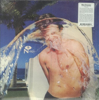 Vinüülplaat Ned Doheny - Separate Oceans (2 LP) - 1