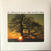 Vinylskiva The Mountain Goats - The Sunset Tree (Reissue) (LP)