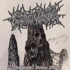 Disc de vinil Coagulate - Rehearsal 2022 Demo (LP)