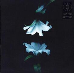 Disco de vinil Wasia Project - Nocturne (2 LP)
