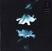 Disco de vinil Wasia Project - Nocturne (2 LP)