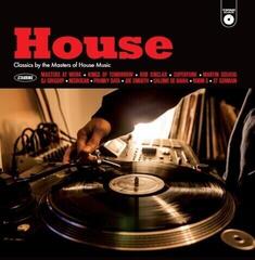 LP ploča Various Artists - House -  Vintage Sounds (LP)