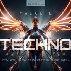LP ploča Various Artists - Melodic Techno 2026 (LP)
