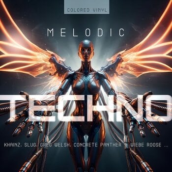 LP ploča Various Artists - Melodic Techno 2026 (LP) - 1