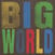 Vinüülplaat Hovvdy - Big World (LP)